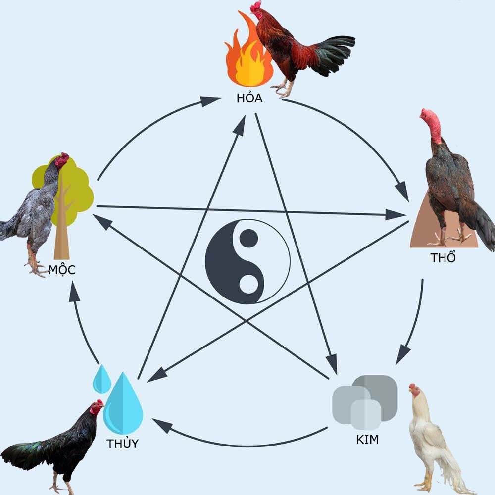Cách Xem Ngày Đá Gà – Hướng Dẫn Chọn “Ngày Lành Tháng Tốt” Đi Thi Đấu