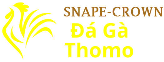 Đá Gà Thomo Trực Tiếp